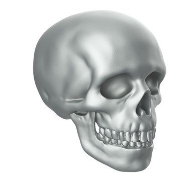 Human skull on white background with clipping path