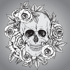 Fototapeta premium Vector illustration with hand drawn human skull with rose flower