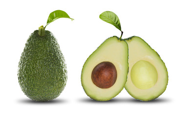 Avocado Set on White Background
