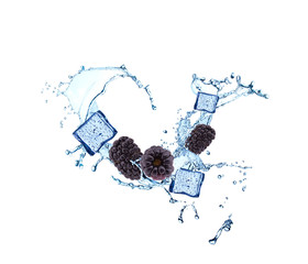 Obraz premium Water splash with fruits and ice cube isolated on white backgroud. Fresh blackberries