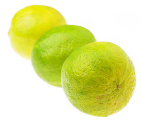 row of limes isolated on a white background