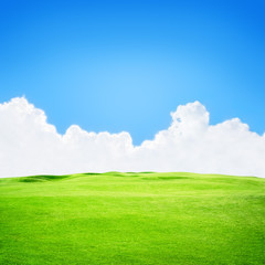 Fototapeta premium field