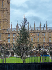 Traditional Christmas tree in front on the House of Parliament 1