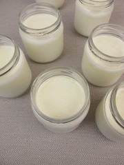 Joghurt im Glas aus dem Joghurtbereiter