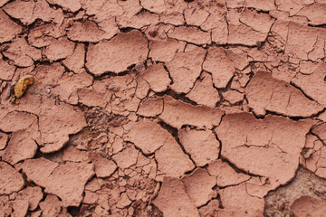 Dry of clay ,drought, the ground cracks, hot, no water, lack of moisture.