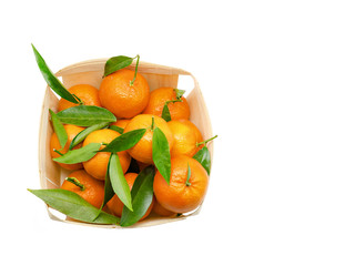 Tangerines with leaves in wooden box isolated on white backgroun