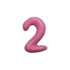 Homemade gingerbread cookie with colored frosting isolated on a