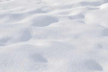 Snow, undulating surface. The background, texture.
Rough, wavy surface of the snow. The top layer...