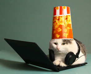 funny  picture of cat with notebook and headphones