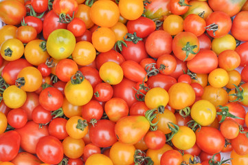 Cherry tomato vegetables