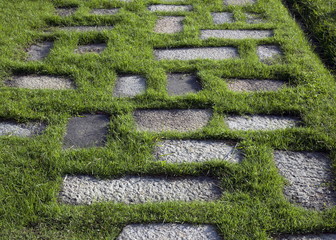 stairs,Stairs in the grass,grass,outdoor,green grass, landscape, moisture, fit exercise,nature, morning walk , hill