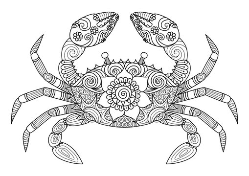 Hand drawn zentangle crab for coloring book for adult, tattoo, logo and so on