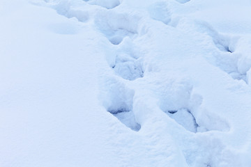 Fototapeta na wymiar Winter background of fluffy snow with traces
