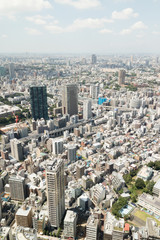 Fototapeta na wymiar tokyo landscape