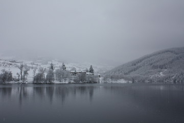 Naklejka premium Paysage d'hiver