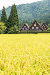 白川郷の合掌造り