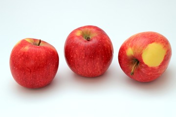 apples