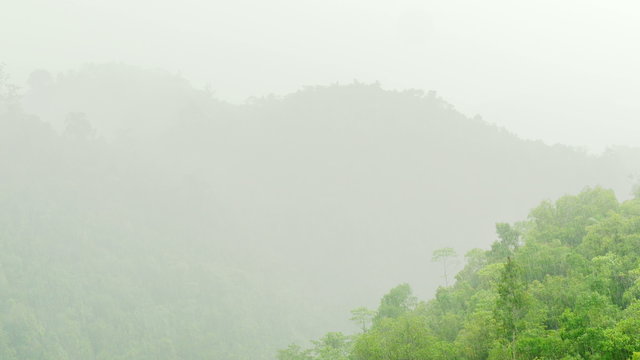 Rainforest mountains in heavy rain, trees disappearing in the fog in the back.
