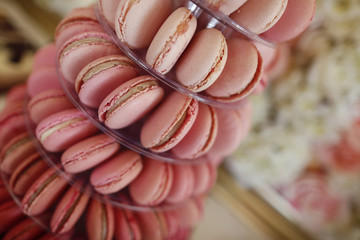 Delicious macaroon on stand next to wall full of roses