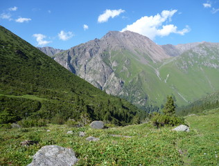 Fototapeta na wymiar mountain valley with green meadows