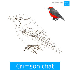Crimson chat bird learn to draw vector