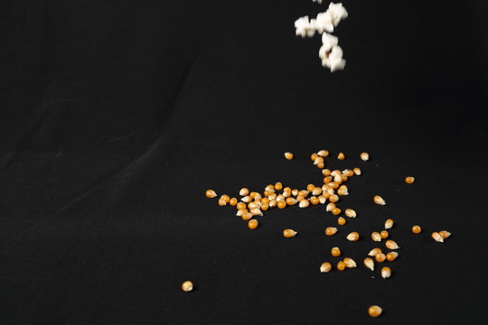 seed corn to make popcorn on black background
