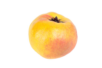 Quince isolated on white background