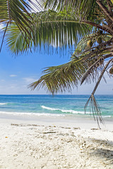 Fototapeta na wymiar Tropical sandy beach with palm tree leaves