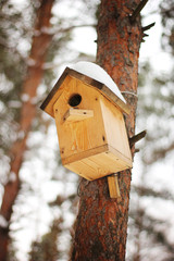 The birdhouse with a snow on the tree