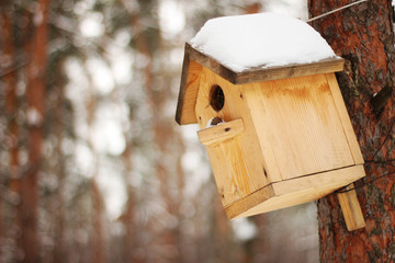 The birdhouse with a snow on the tree