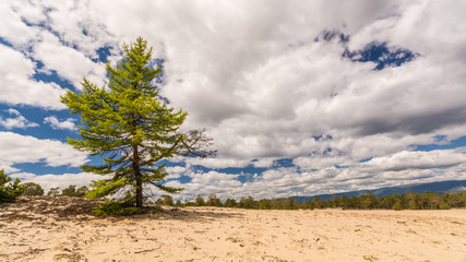 Горы и скалы Алтая. Россия, тайга, леса и вершины. Mountains and rocks of Altai. Russia, taiga, forests and peaks.