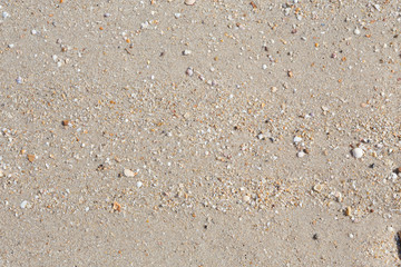 beach texture