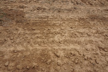 close up soil preparation