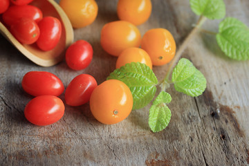 fresh tomatoes with mint leaves