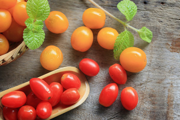 fresh tomatoes with mint leaves