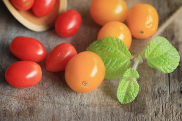 fresh tomatoes with mint leaves