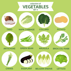 collection of vegetables, food vector illustration, icon set thr - 98176504
