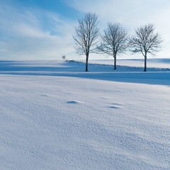 Winterlandschaft