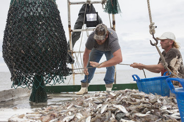 Deckhands working on fishing boat