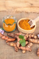 Turmeric herb yellow powder and fresh turmeric.