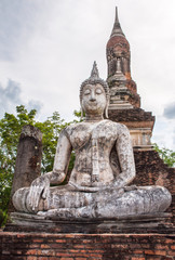 Fototapeta premium buddha