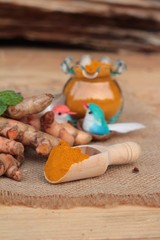 Turmeric herb yellow powder and fresh turmeric.