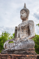 Fototapeta premium buddha