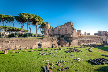Ruins on the Palatine hill