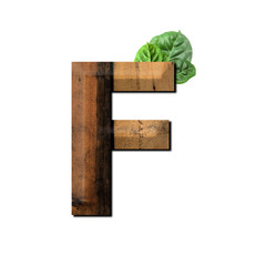 Vintage wooden letter F with green leaf