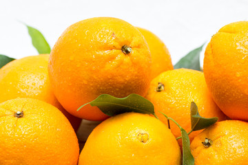 oranges on a white background 