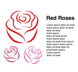 Abstract colorful background with flowers