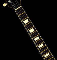 Electric Guitar Neck