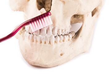 Naklejka premium Zahnpflege