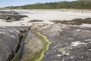 Rock Pool, Derrymore Bay Beach; Waterville